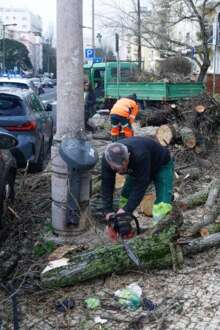 Autarca de Figueiró dos Vinhos pede ajuda e diz que concelho vive "um dos piores momentos da sua história"